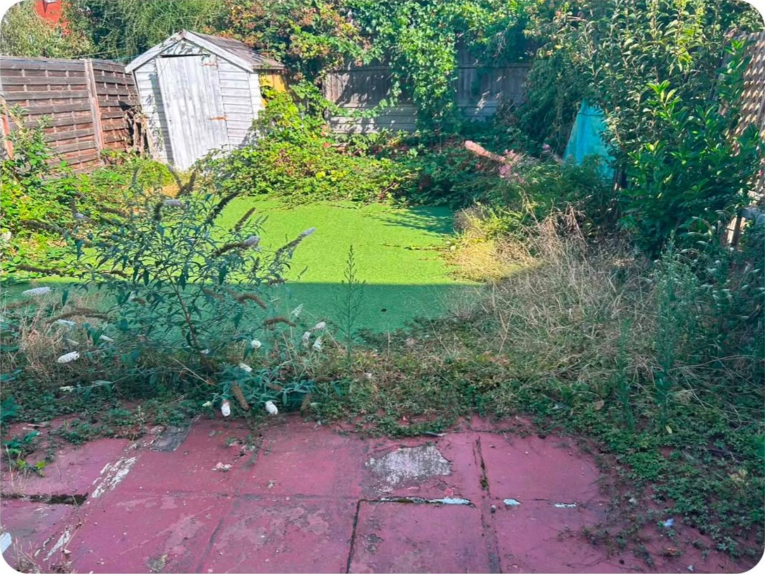 A back garden overrun with weeds and brambles around a faded red patio